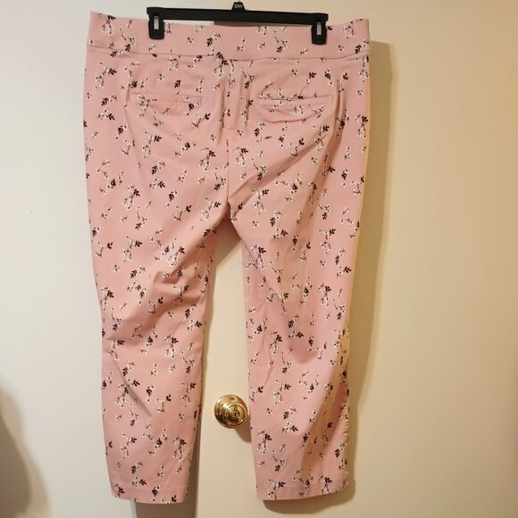 EUC ~ Lane Bryant's The Allie Pull-On Chino Pants Zip Pockets (Size: 24 Regular) - Picture 2 of 5